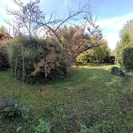 Le Clos Verdonnais *